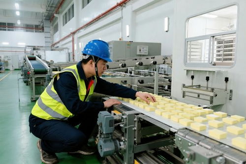 一条产线，决定一口食品的安全——食品厂生产线设备安装的工程底线